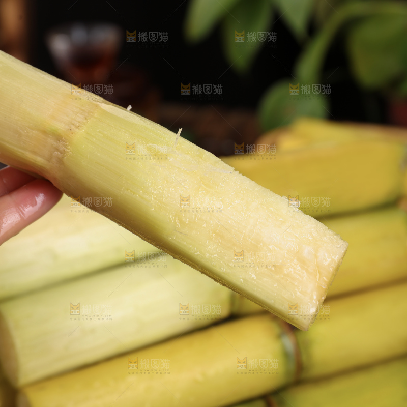 黄皮甘蔗