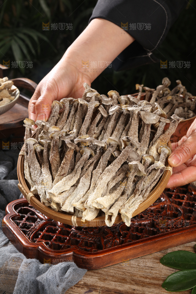鹿茸菇