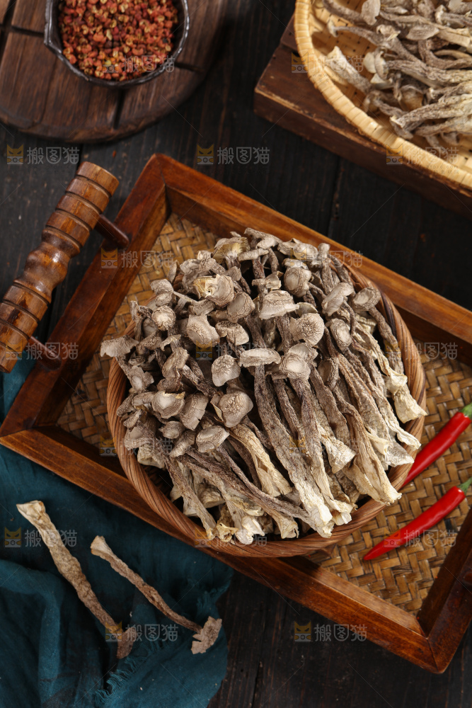 鹿茸菇