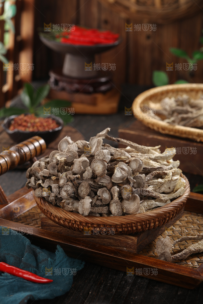 鹿茸菇
