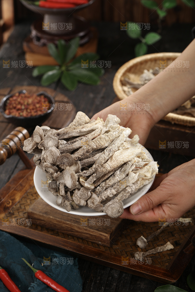 鹿茸菇