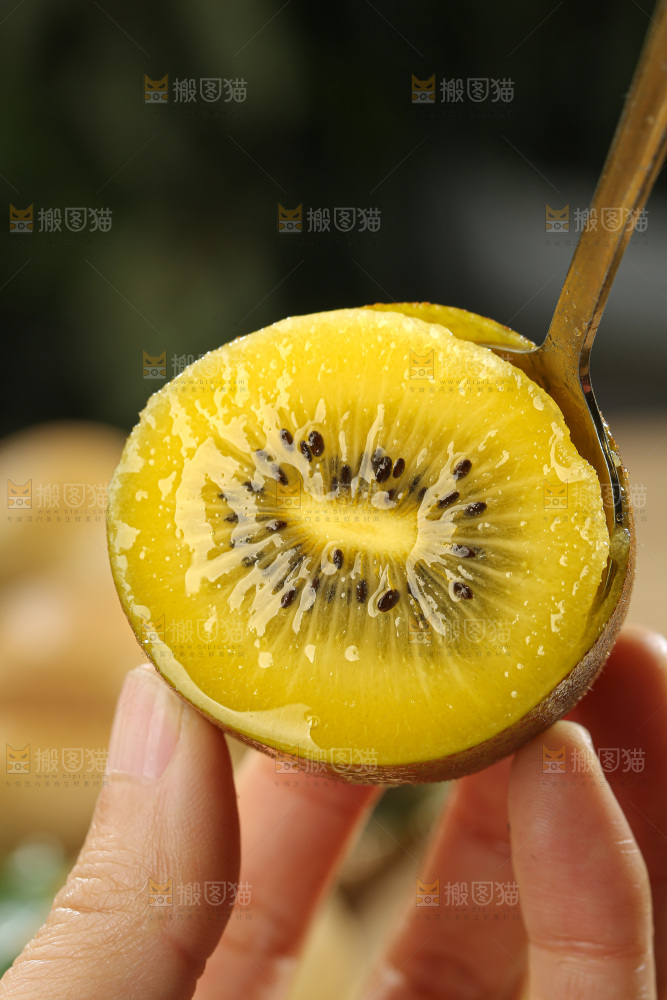 黄金奇异果