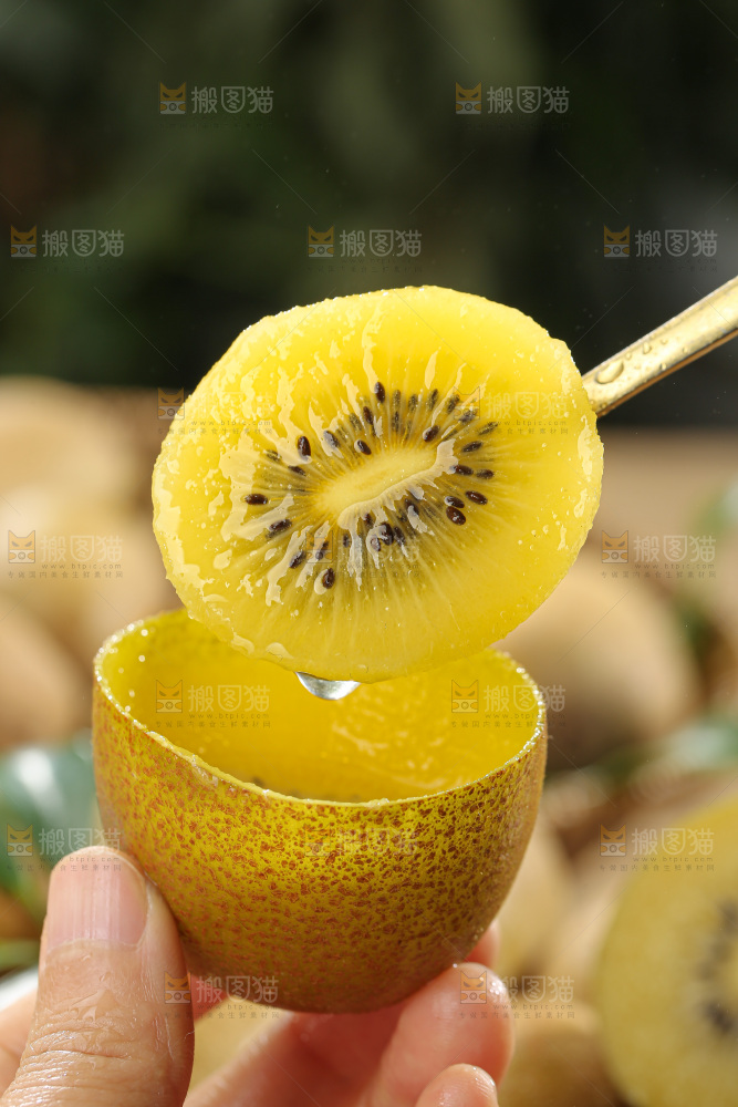 黄金奇异果