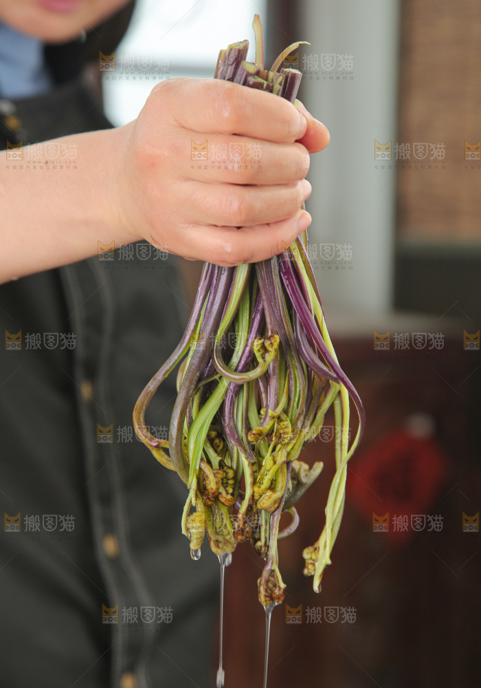 蕨菜
