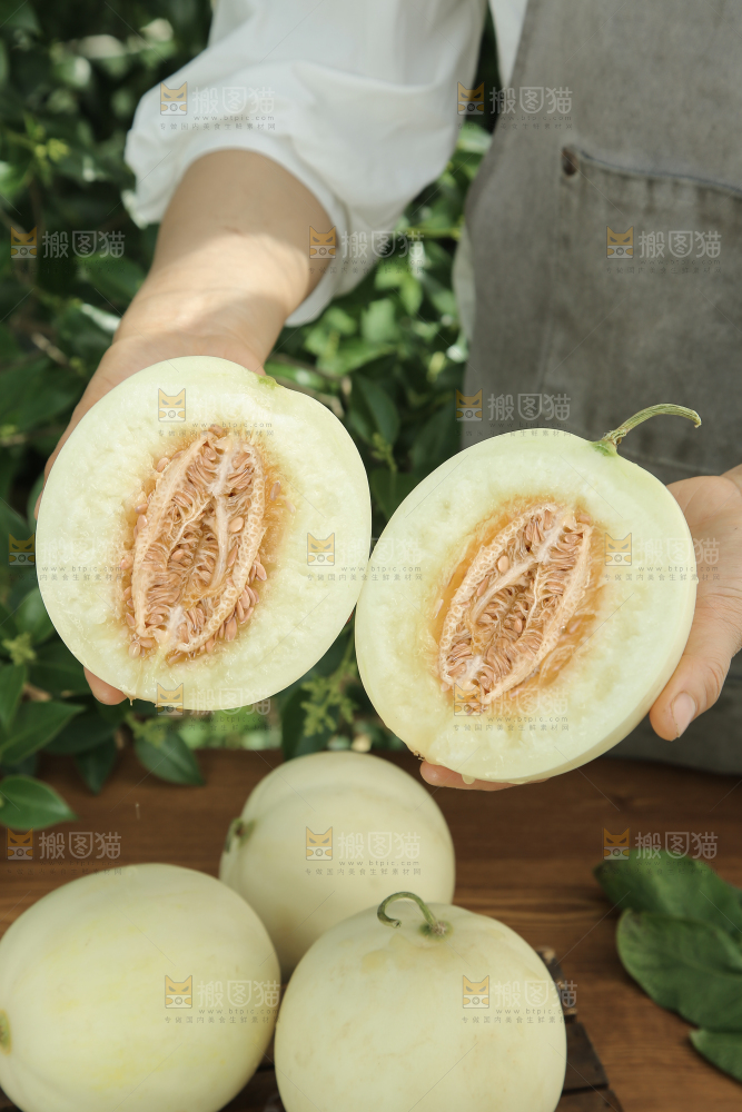 阎良甜瓜