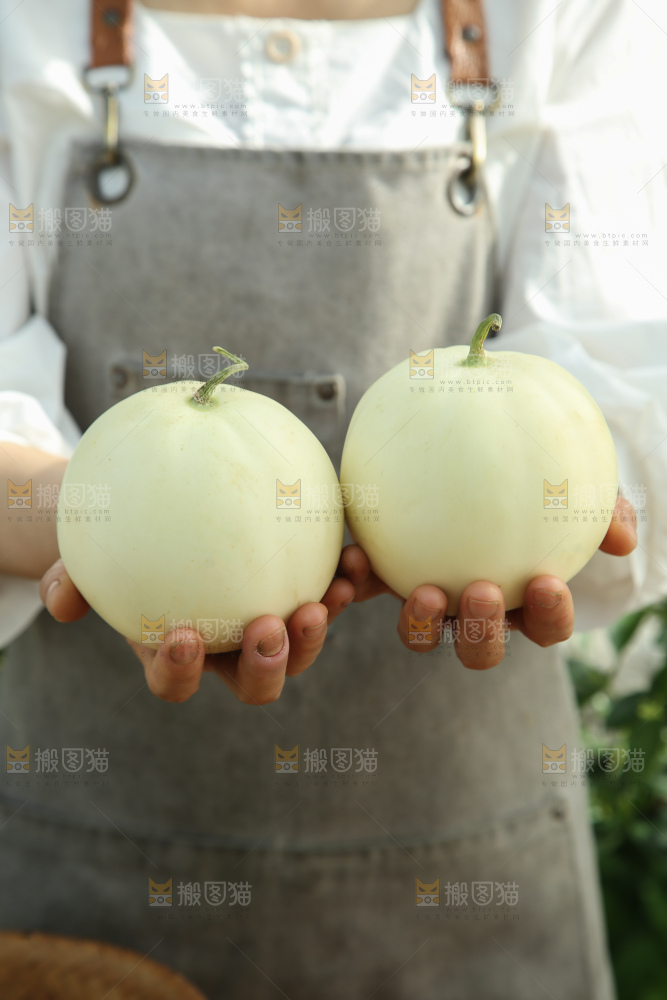 阎良甜瓜
