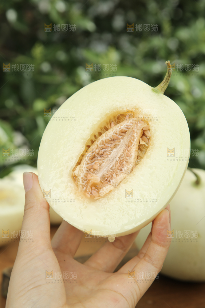阎良甜瓜