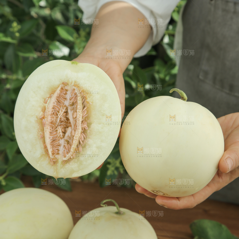 阎良甜瓜