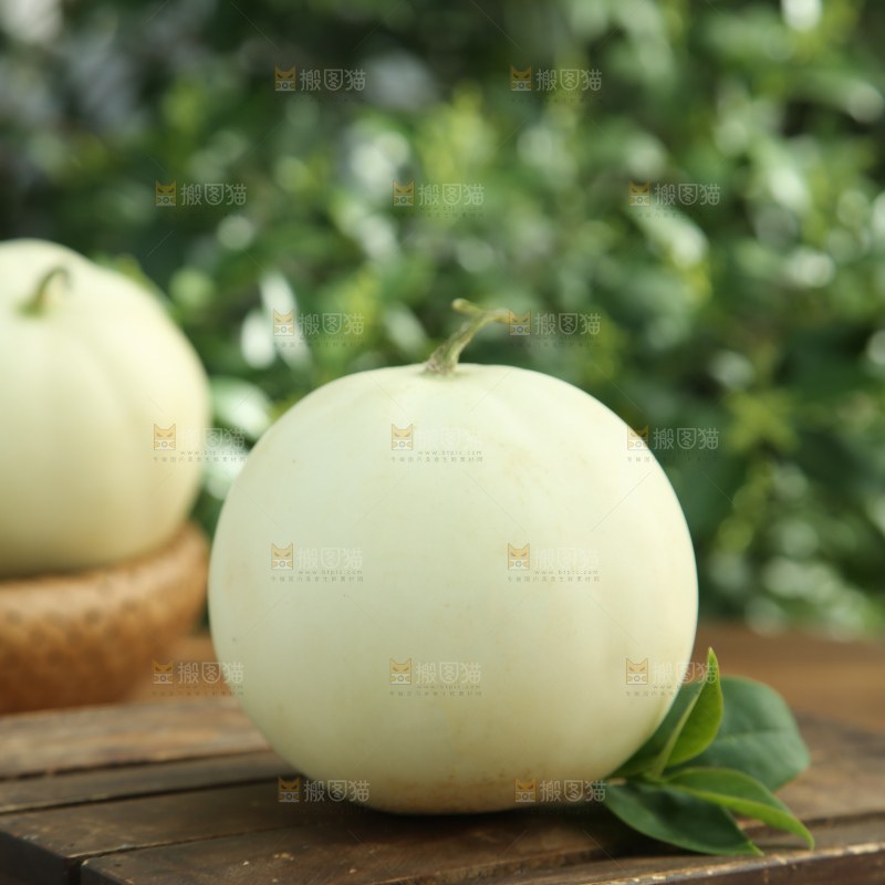阎良甜瓜