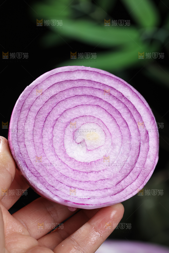 洋葱