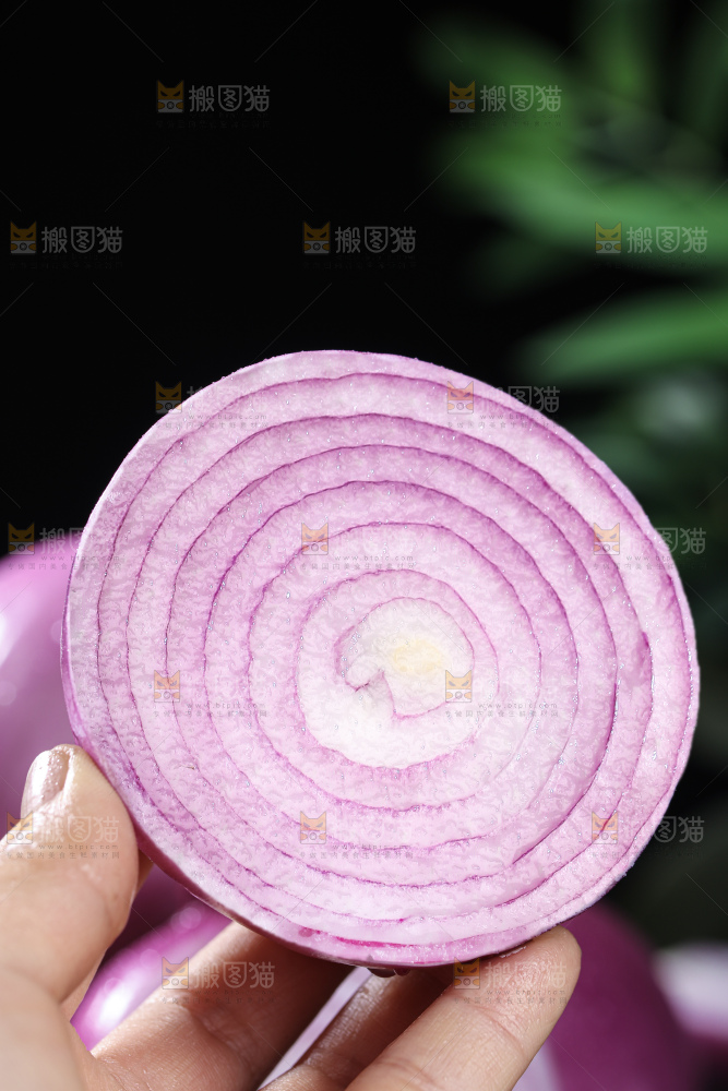 洋葱