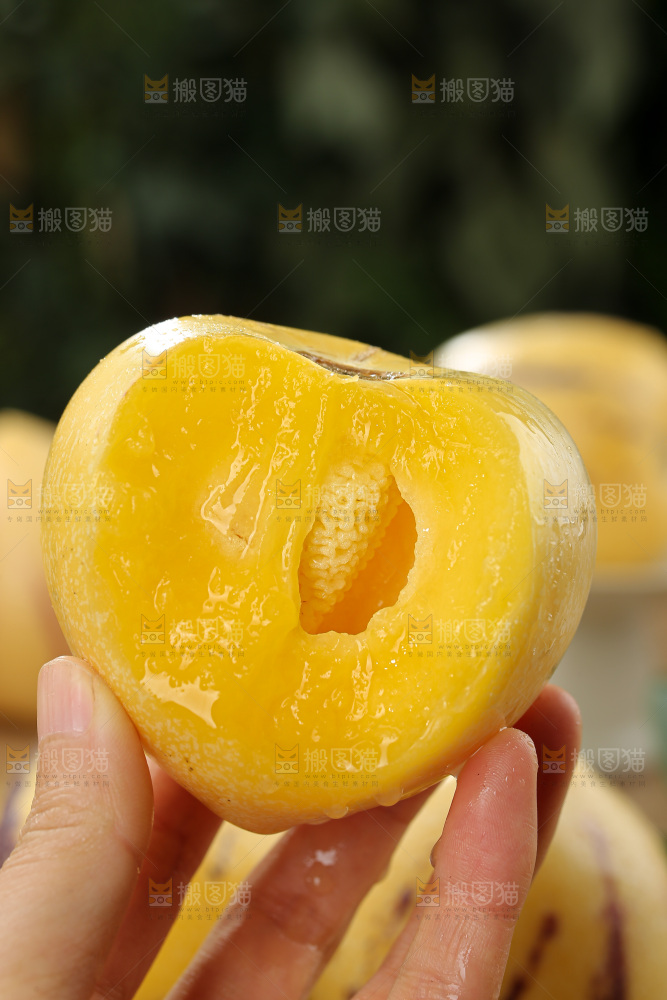 人参果