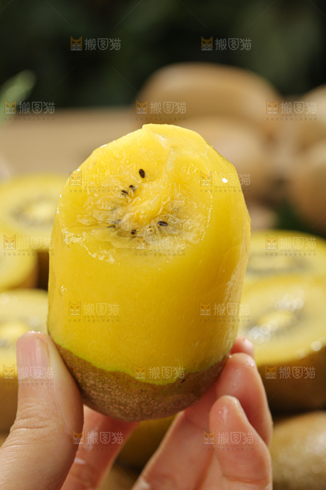 黄金奇异果