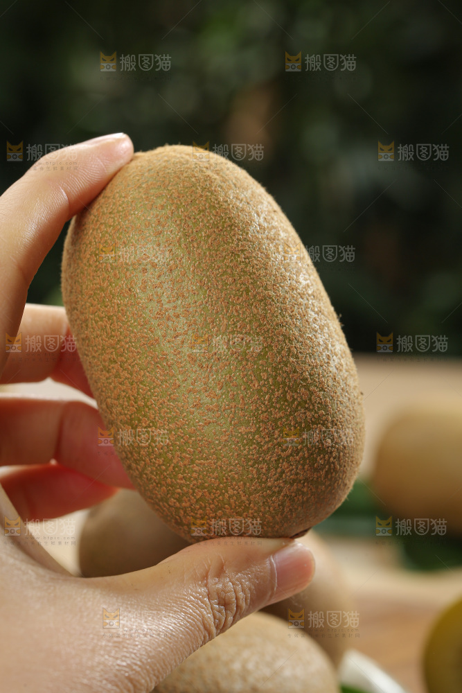 黄金奇异果