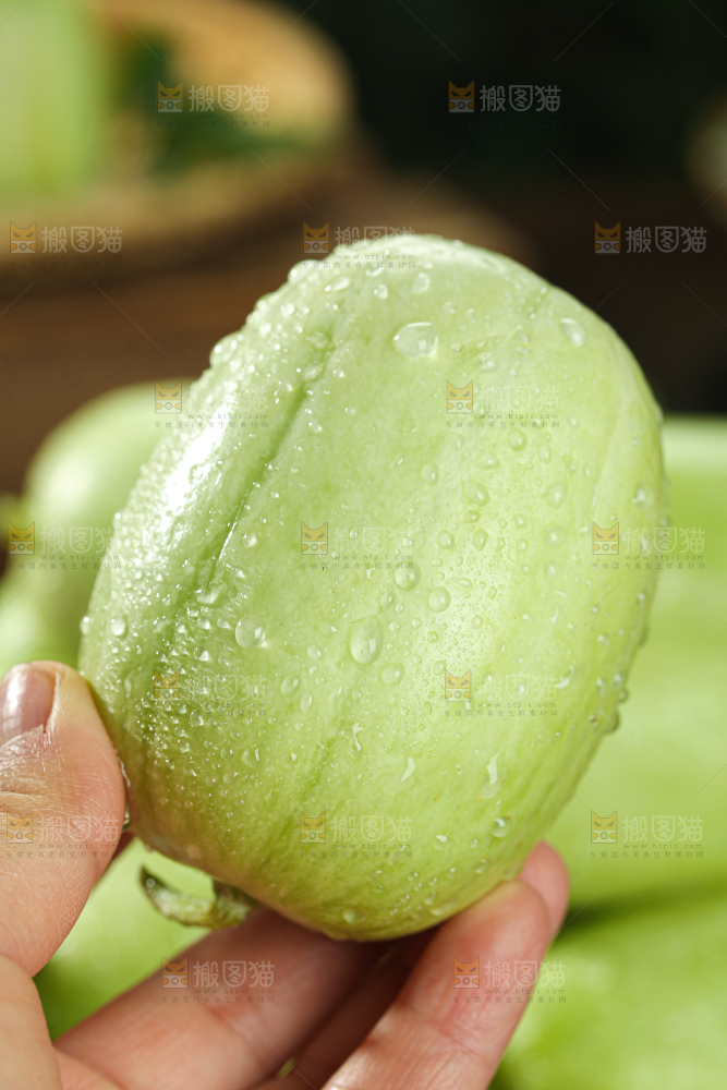 玉女黄瓜