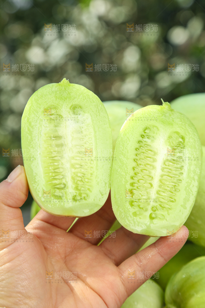 玉女黄瓜