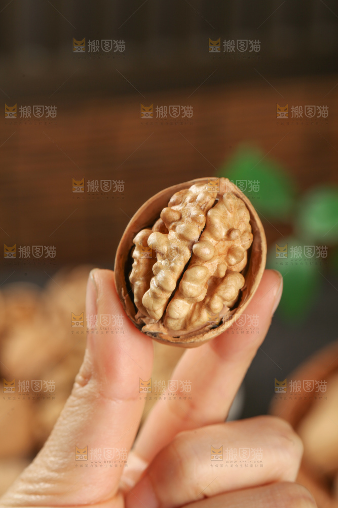 纸皮核桃