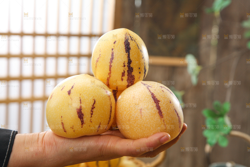 人参果