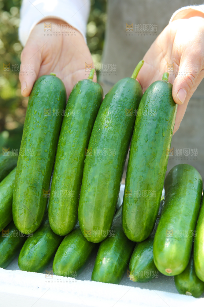 水果黄瓜