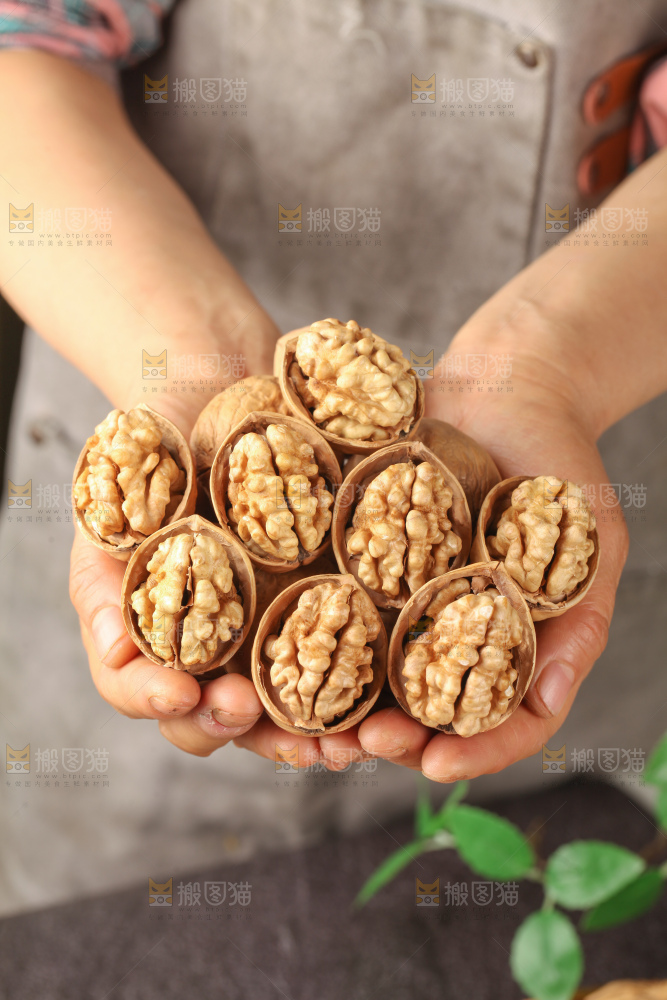 纸皮核桃