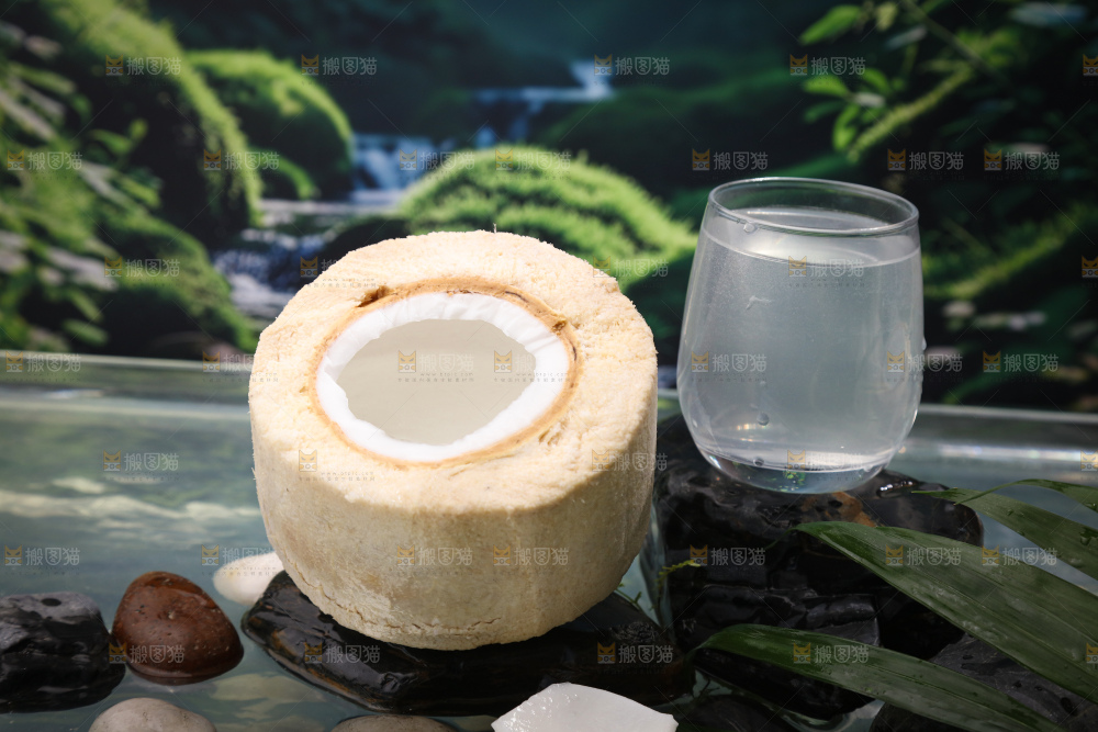 牛奶椰皇