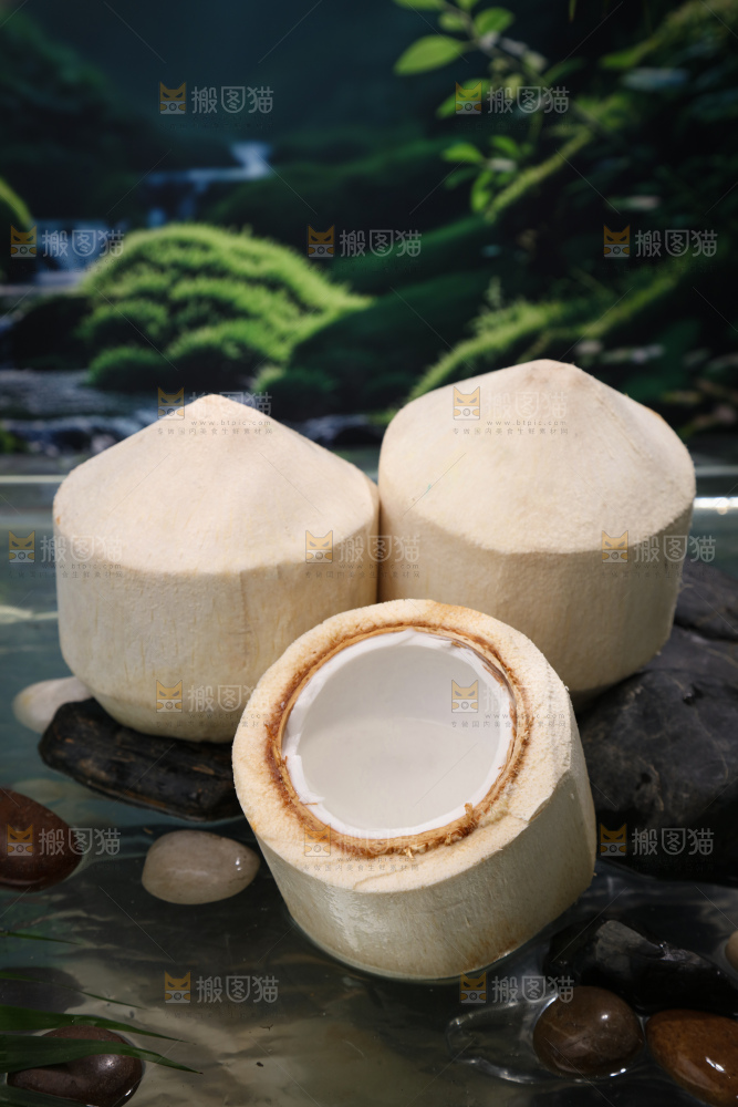 牛奶椰皇