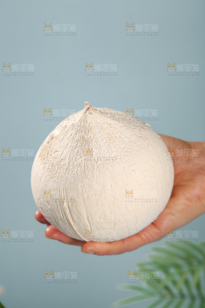 牛奶椰皇