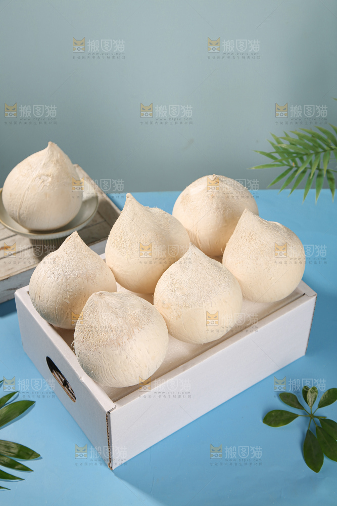 牛奶椰皇