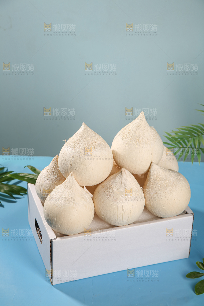 牛奶椰皇