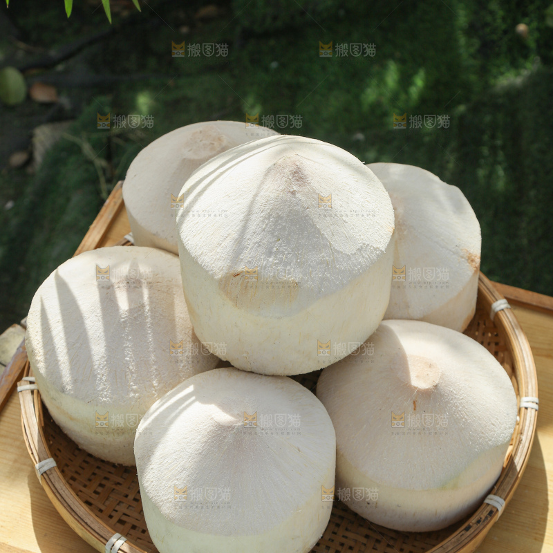 牛奶椰皇