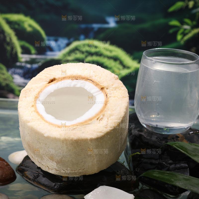 牛奶椰皇
