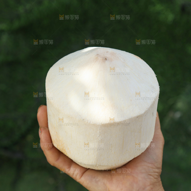 牛奶椰皇