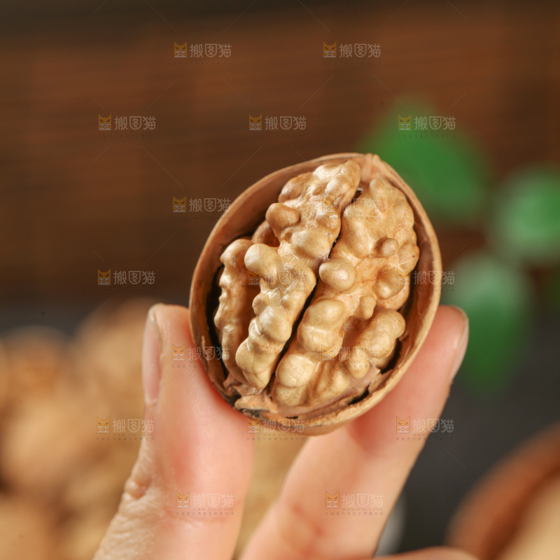 纸皮核桃