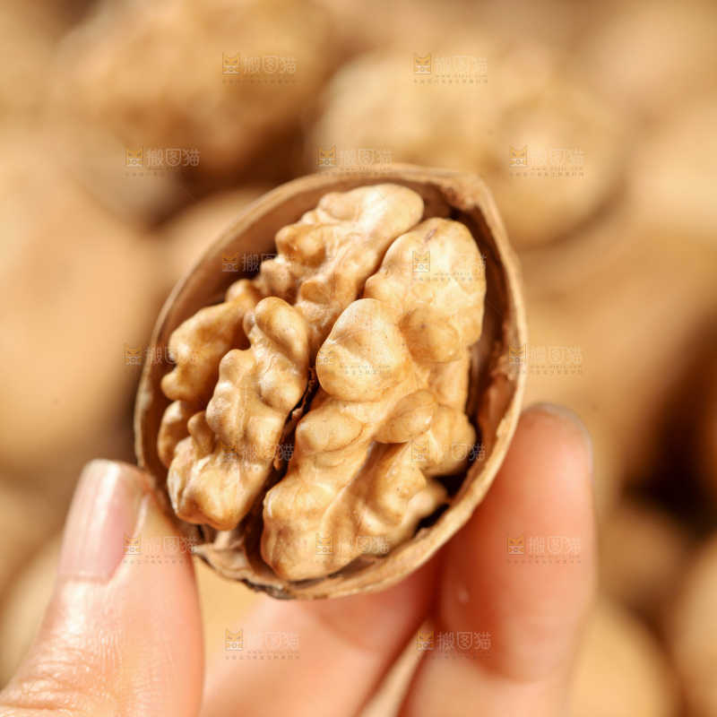 纸皮核桃