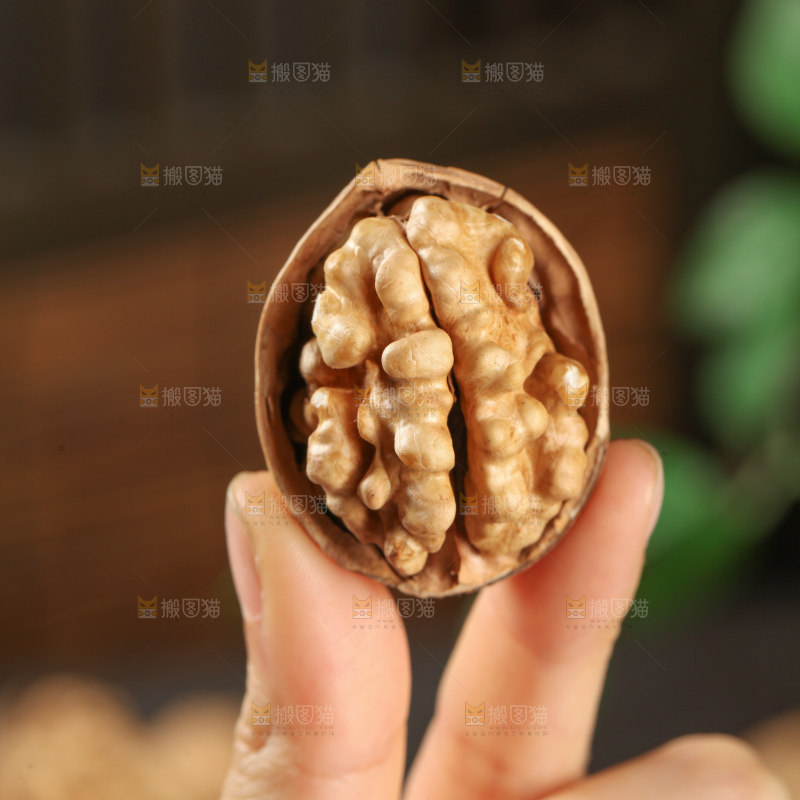 纸皮核桃