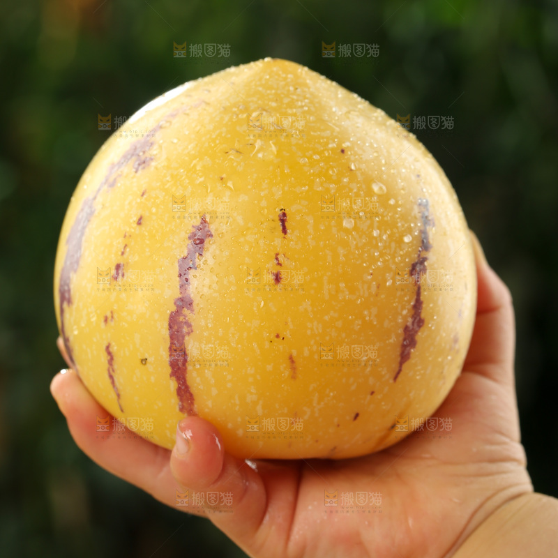 人参果