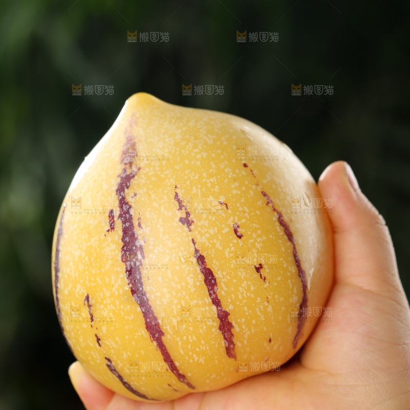 人参果