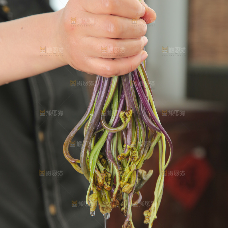 蕨菜