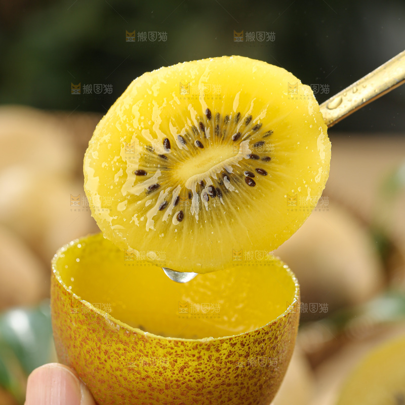 黄金奇异果