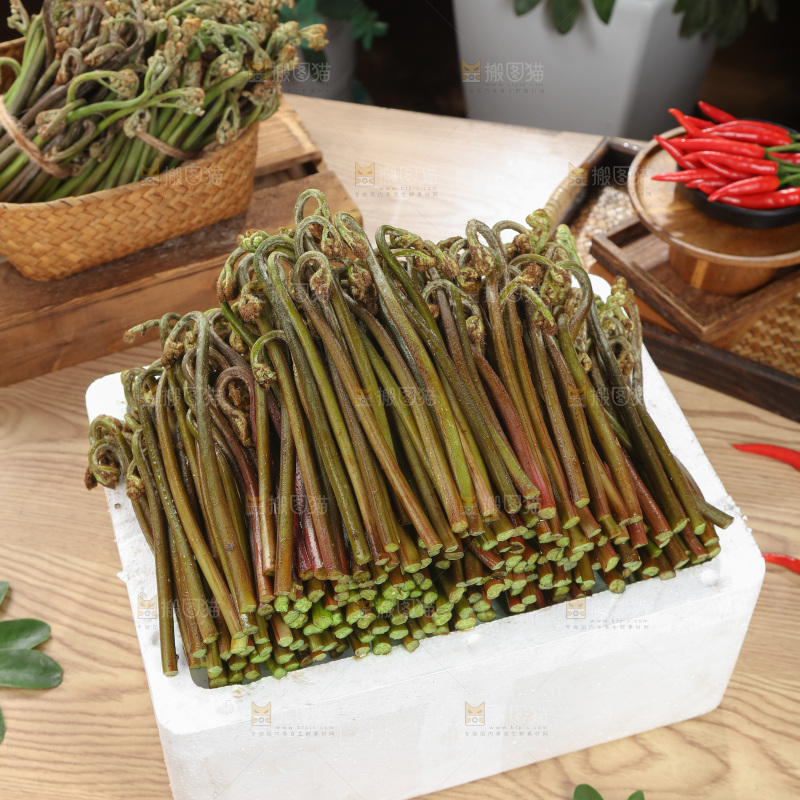 蕨菜