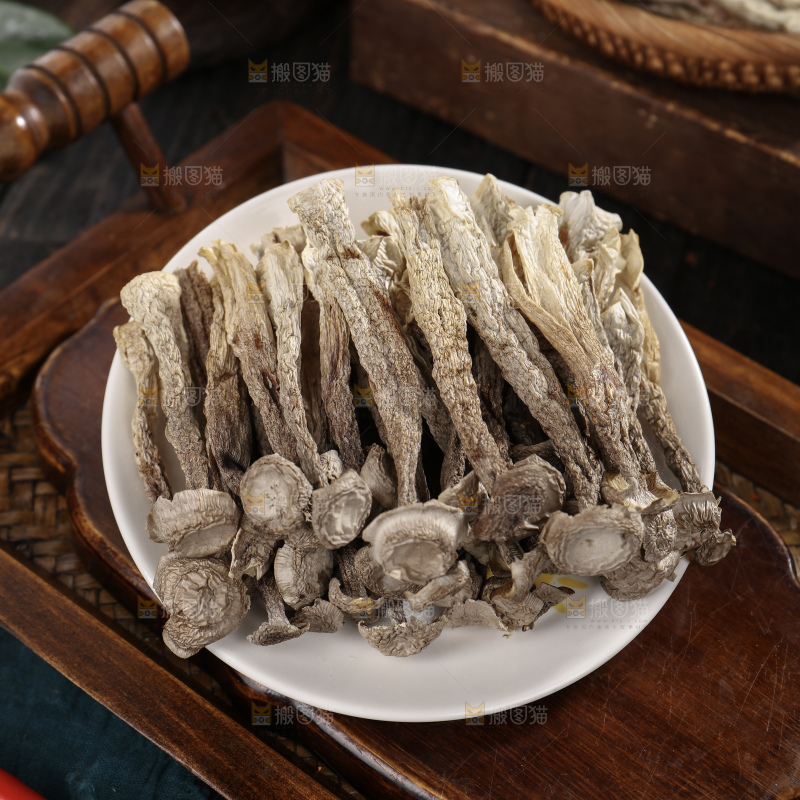 鹿茸菇