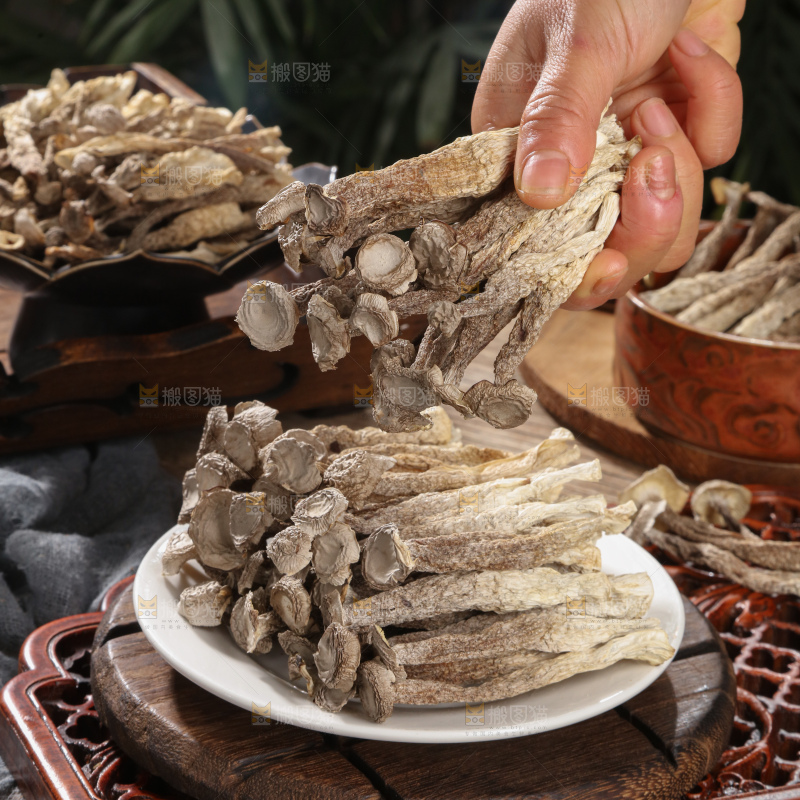 鹿茸菇