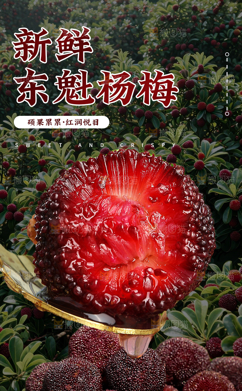 杨梅详情页