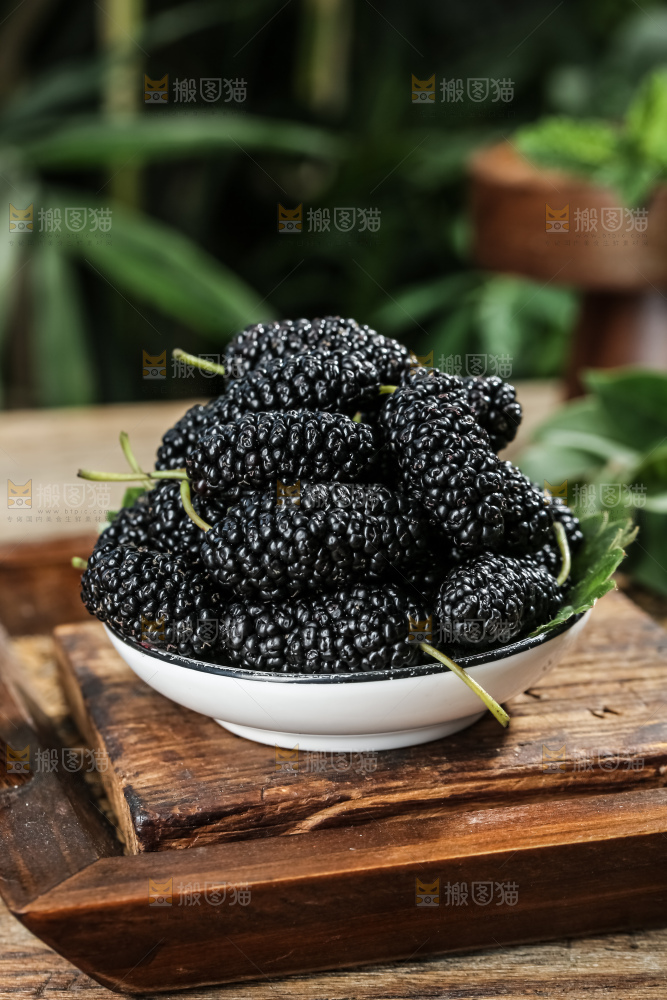 桑葚