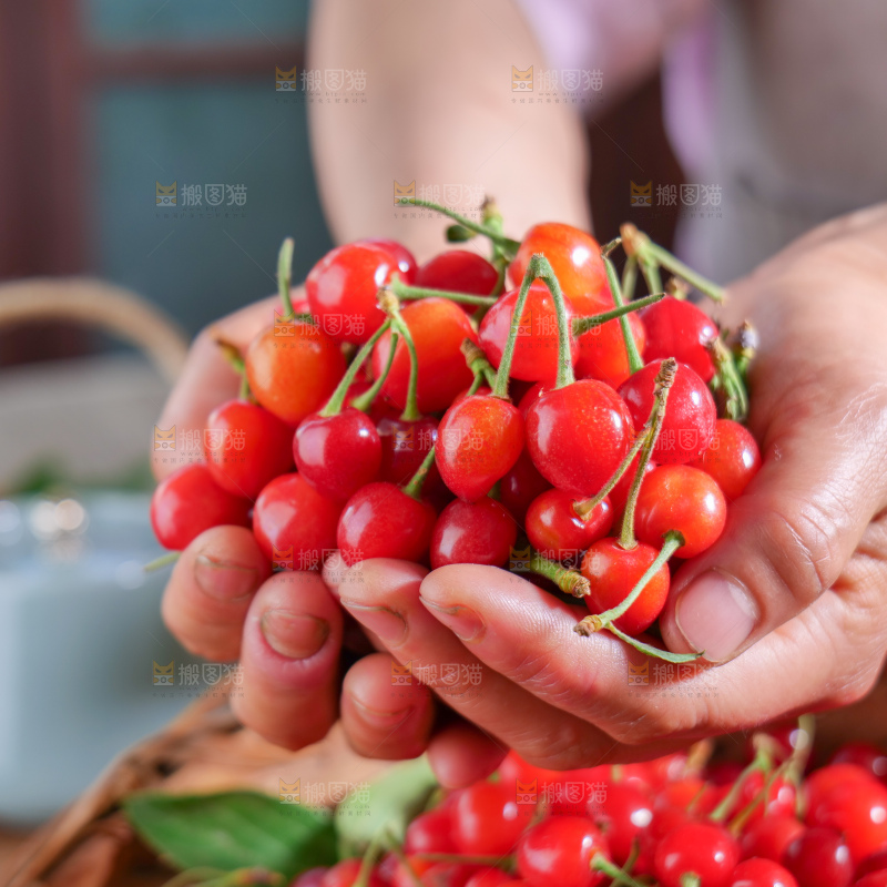 小樱桃