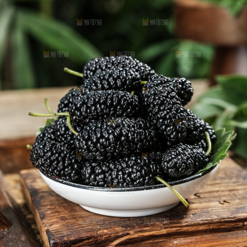桑葚