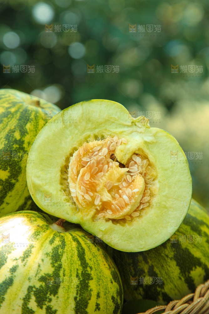 花蕾甜瓜