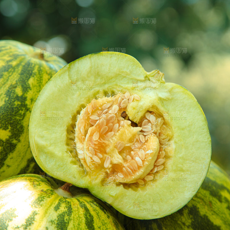 花蕾甜瓜