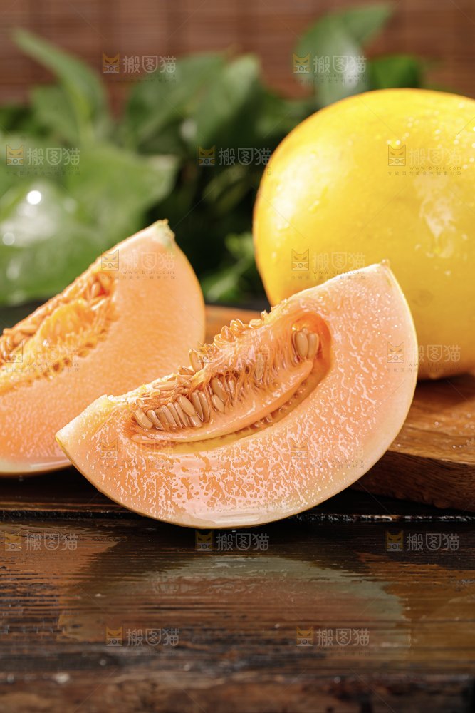 黄河蜜瓜