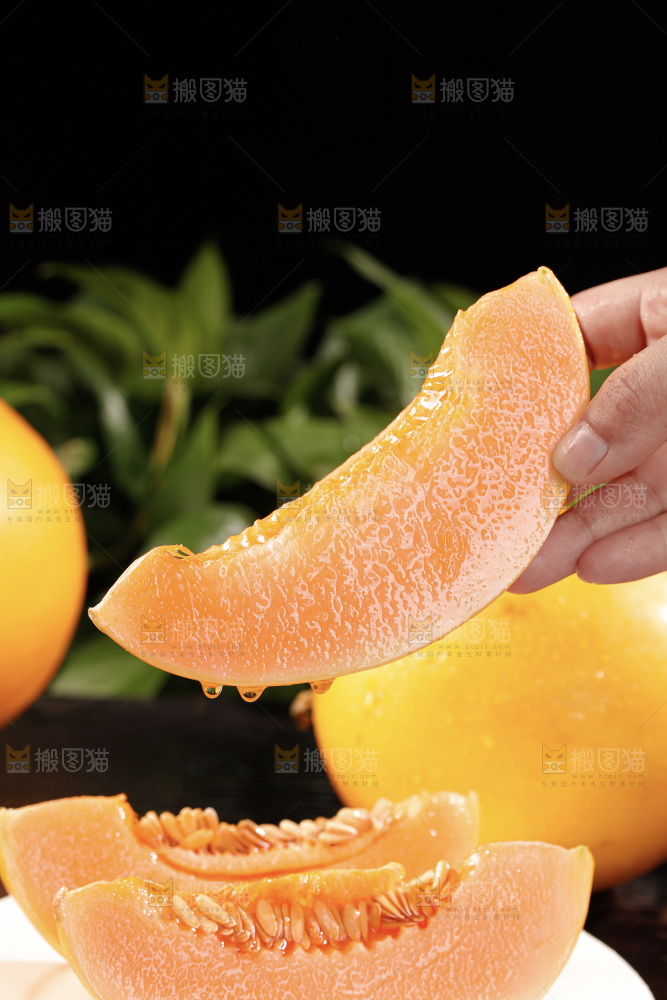 黄河蜜瓜